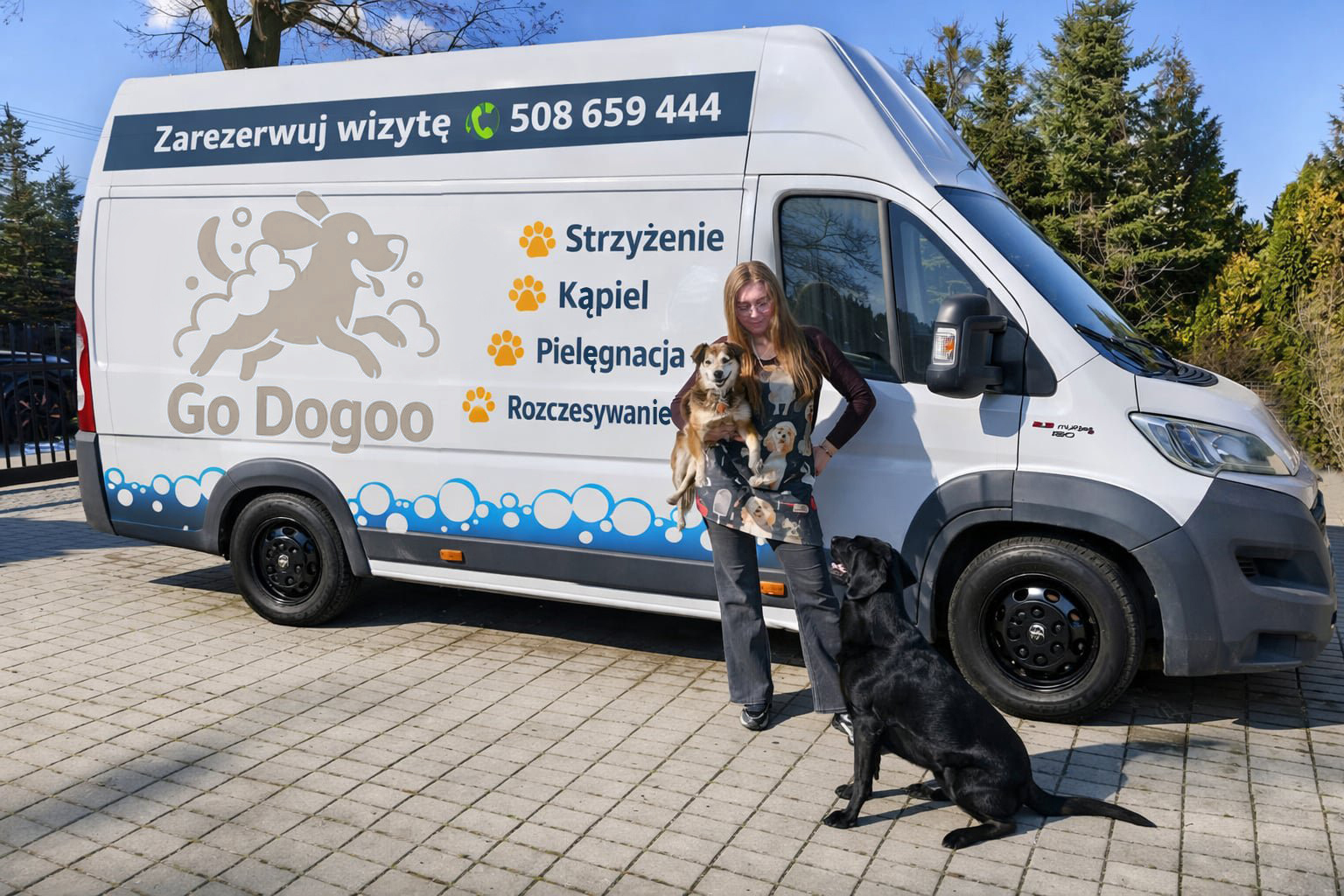 groomer dla psa iława prabuty susz lubawa